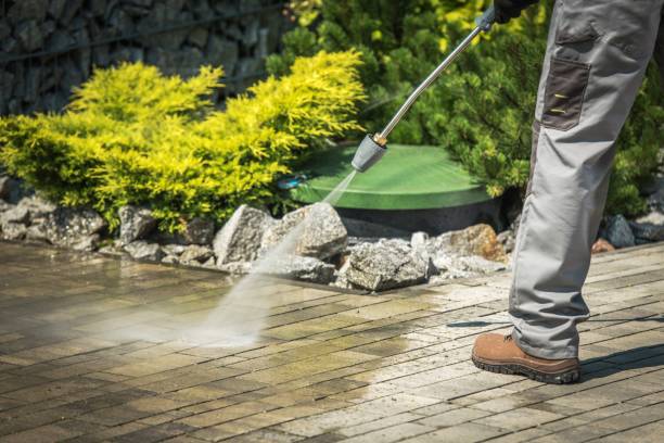 Best Solar Panel Cleaning  in Hanover, MN