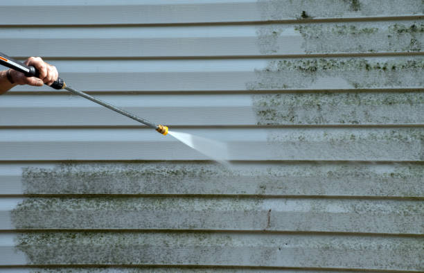 Best Patio and Deck Pressure Washing  in Hanover, MN